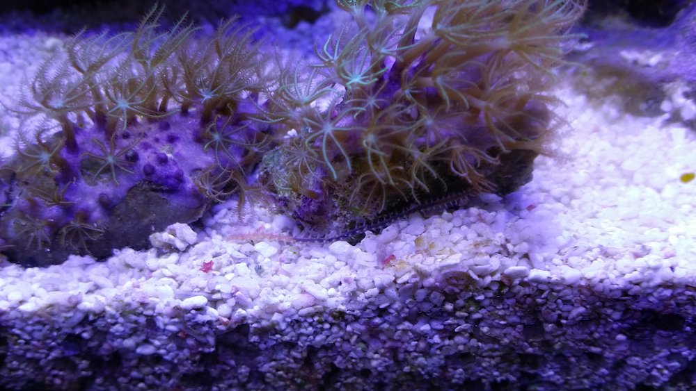 20160602_190439.jpg