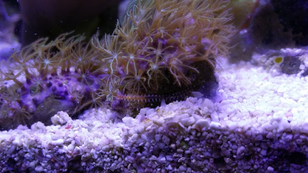 20160602_190156.jpg