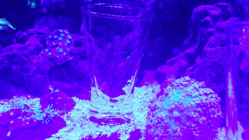 20160606_233524.jpg