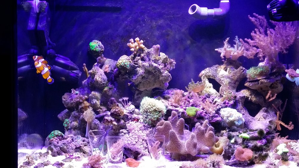 20160610_213938.jpg