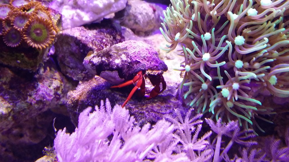 20160610_213913.jpg