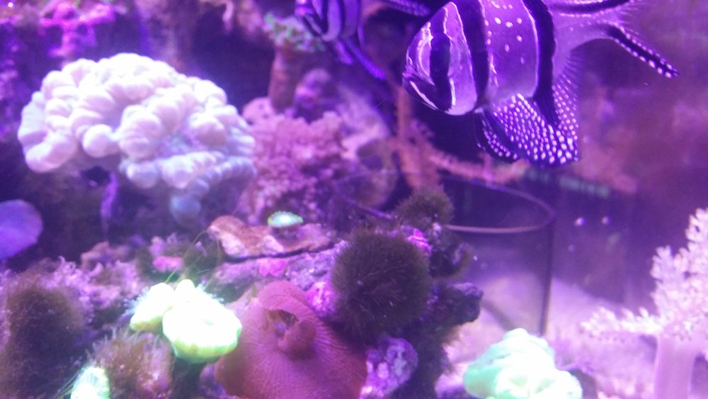 20160617_202541.jpg