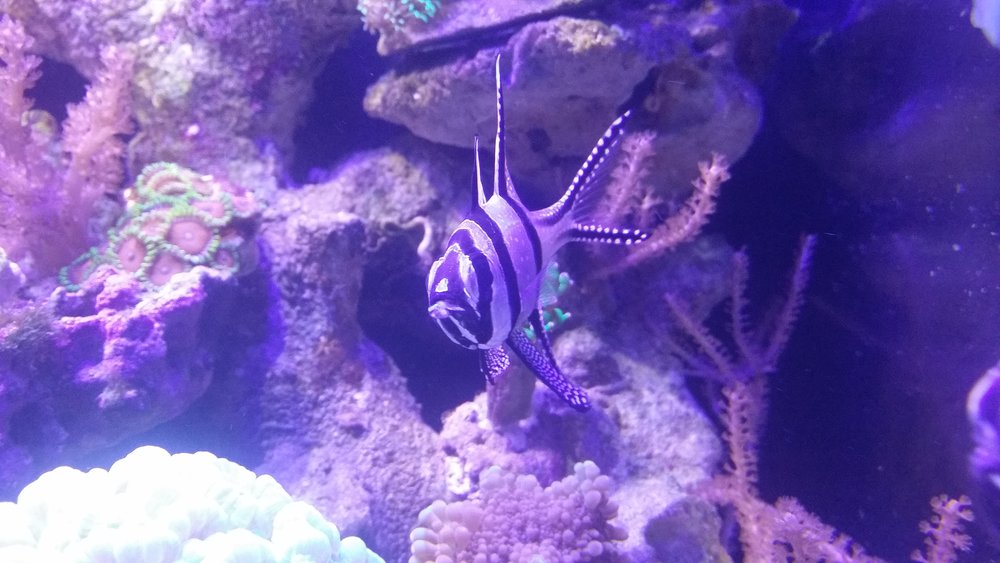 20160617_202527.jpg