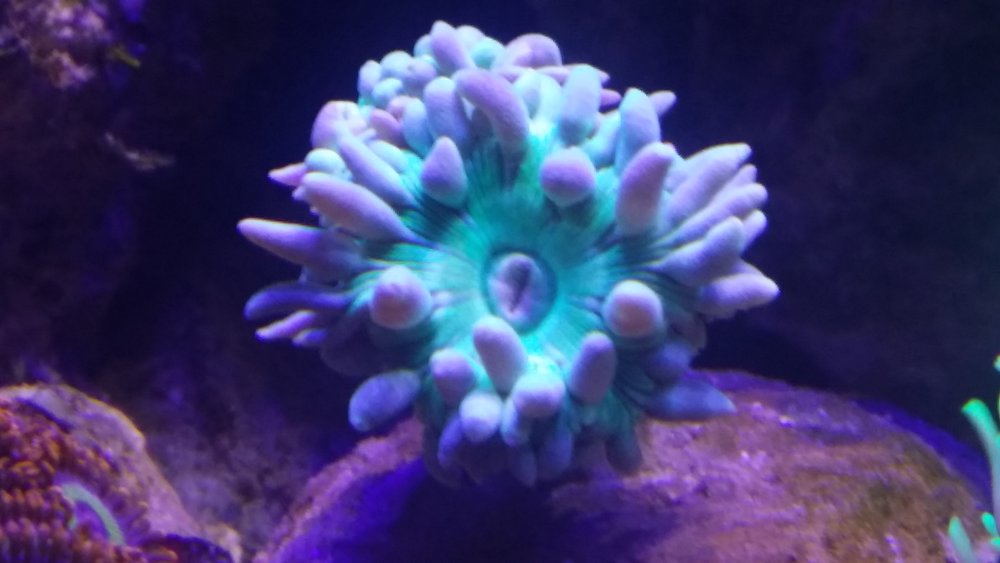 20160617_202440.jpg