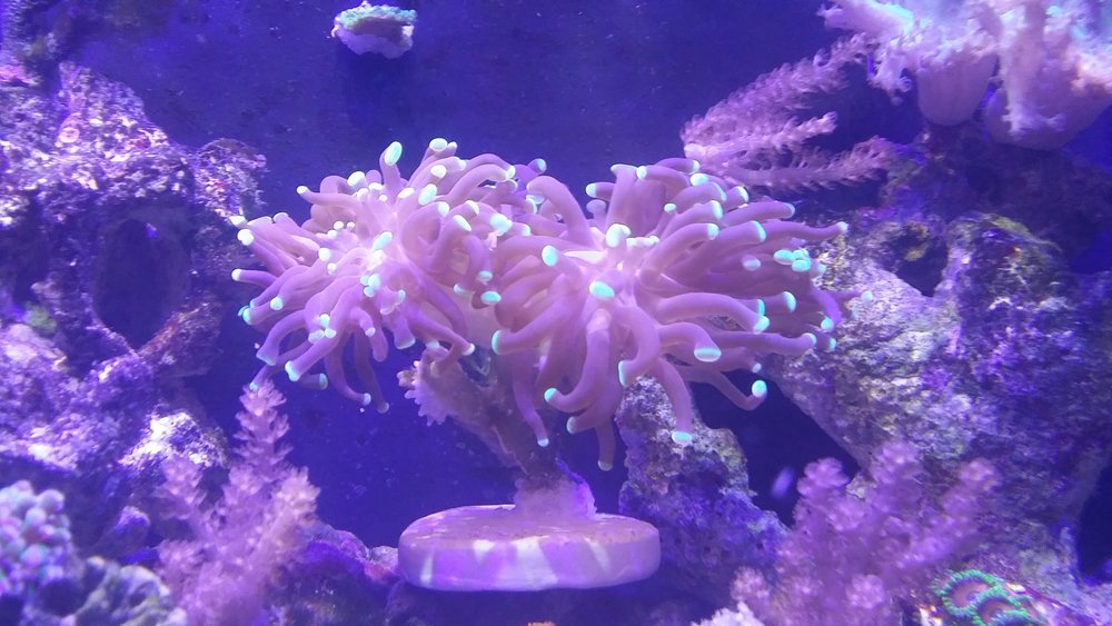 20160617_202217.jpg