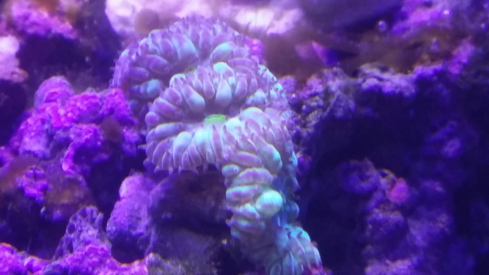 20160617_202746.jpg