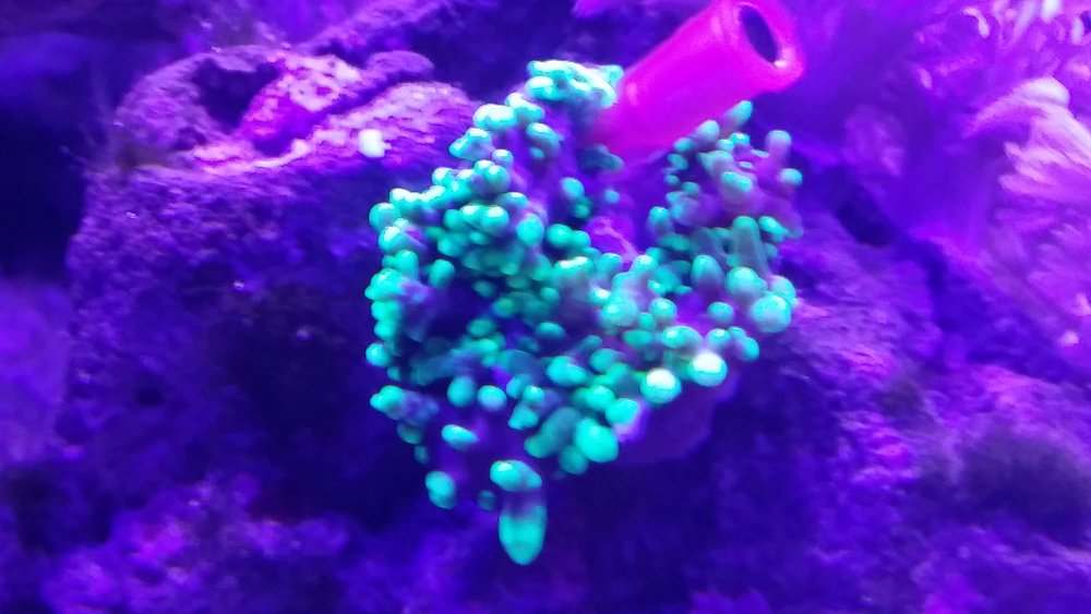 20160615_223157.jpg