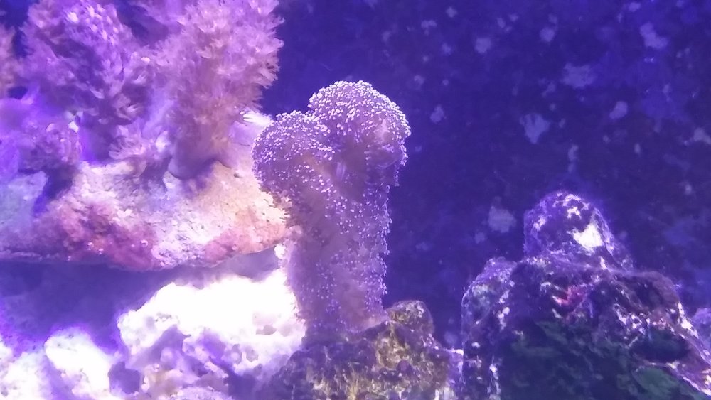 20160617_202415.jpg