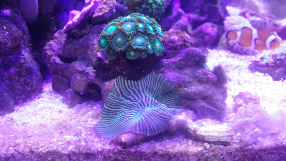 20160617_202334.jpg