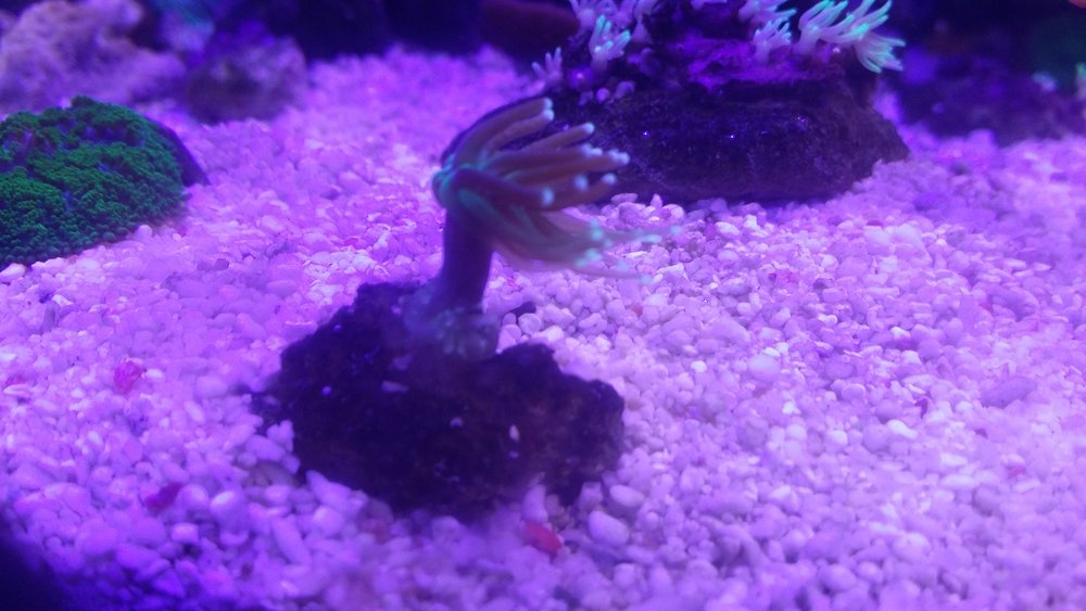 20160617_202631.jpg
