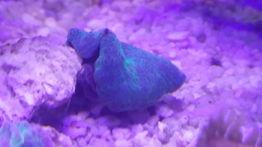 20160617_202921.jpg