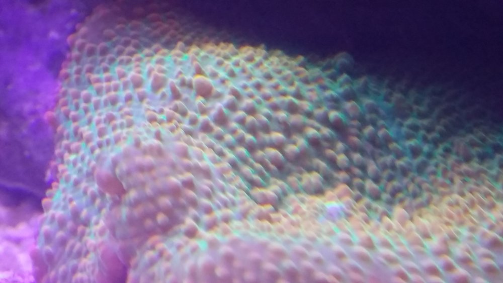 20160617_202818.jpg
