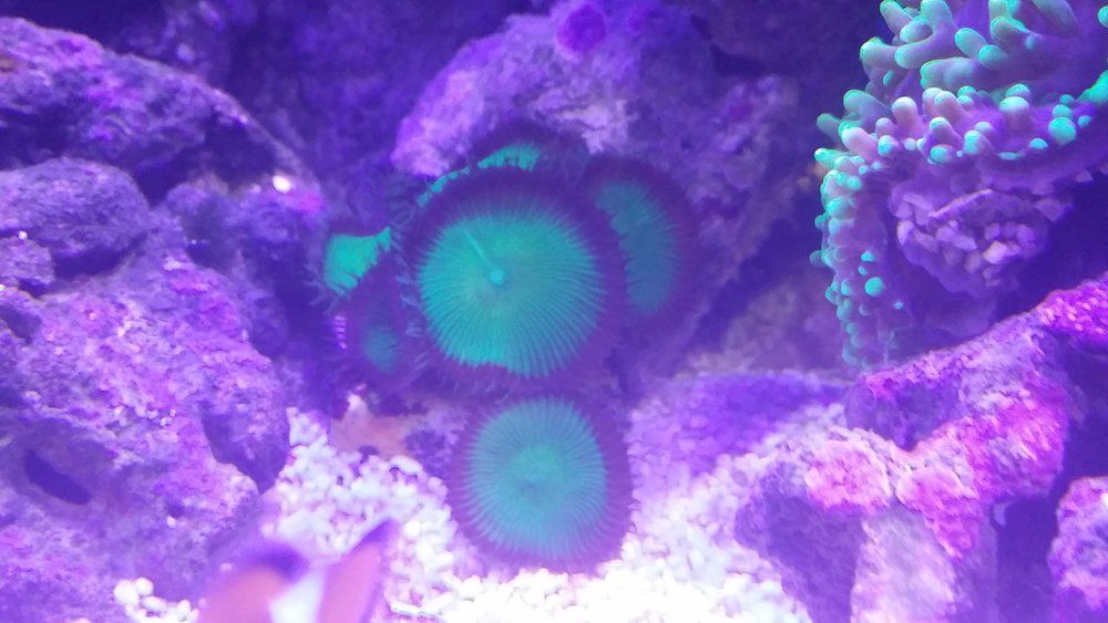 20160617_202646.jpg