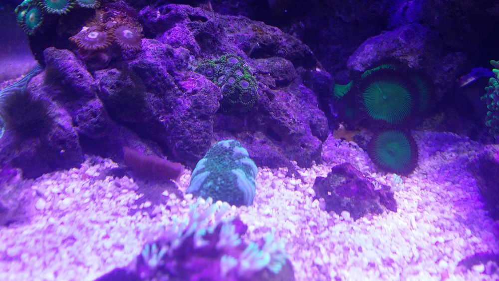 20160617_202554.jpg