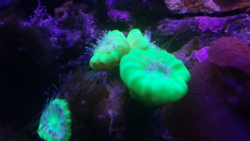 20160617_202914.jpg
