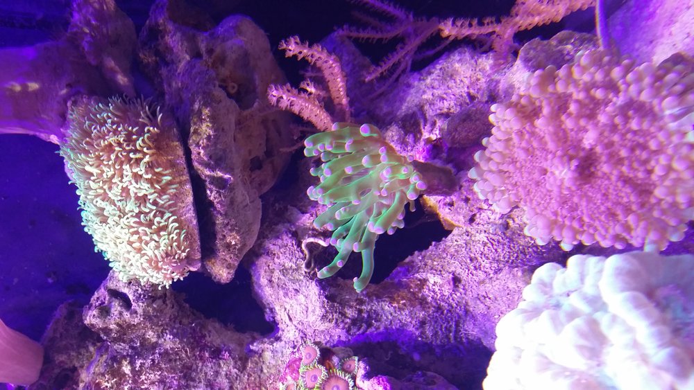 20160620_215216.jpg