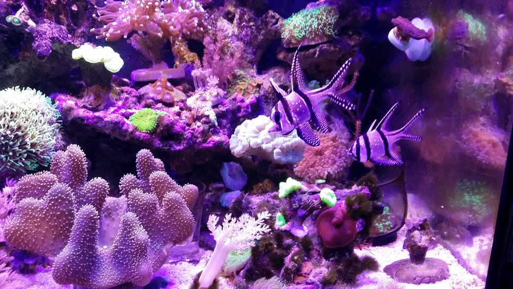 20160620_220229.jpg