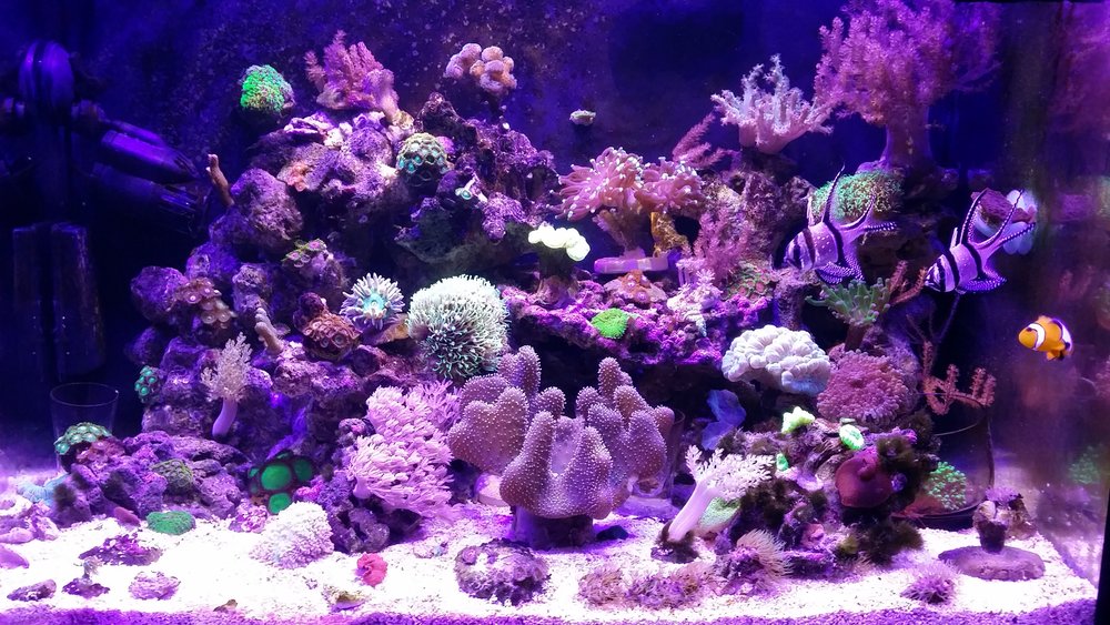 20160620_215110.jpg