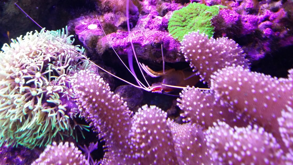 20160623_211836.jpg