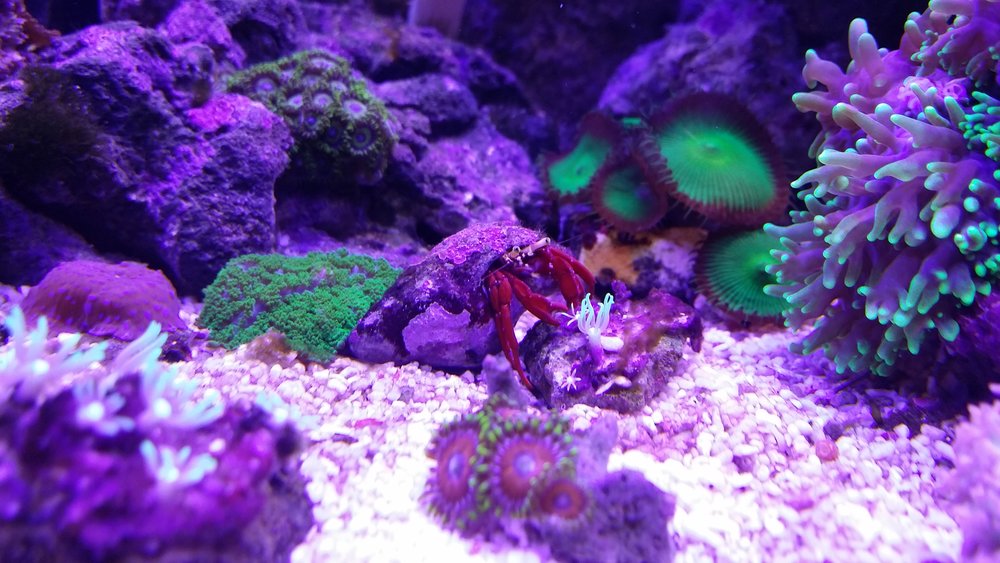 20160623_211854.jpg
