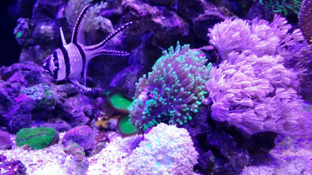 20160623_214457.jpg