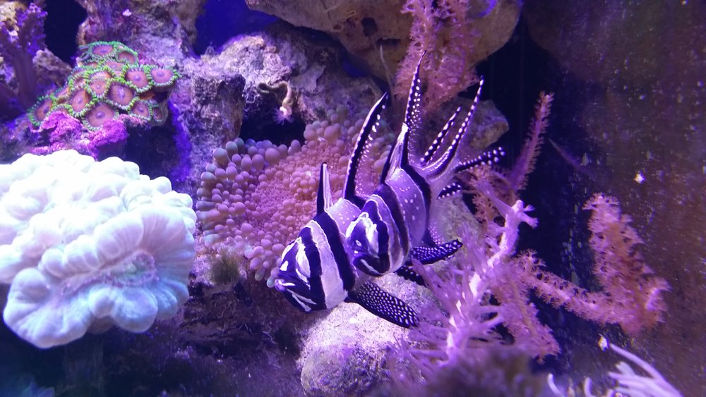 20160702_165619.jpg