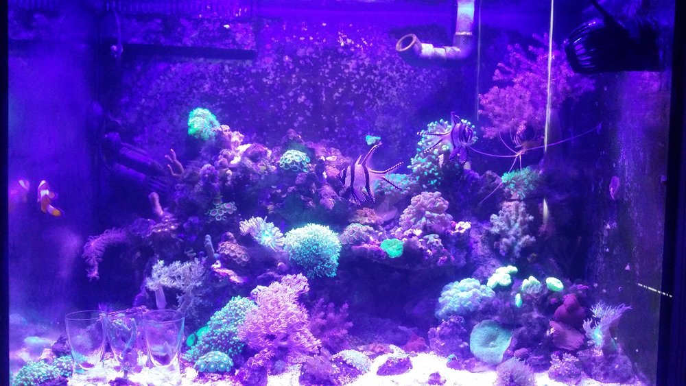 20160717_160352.jpg