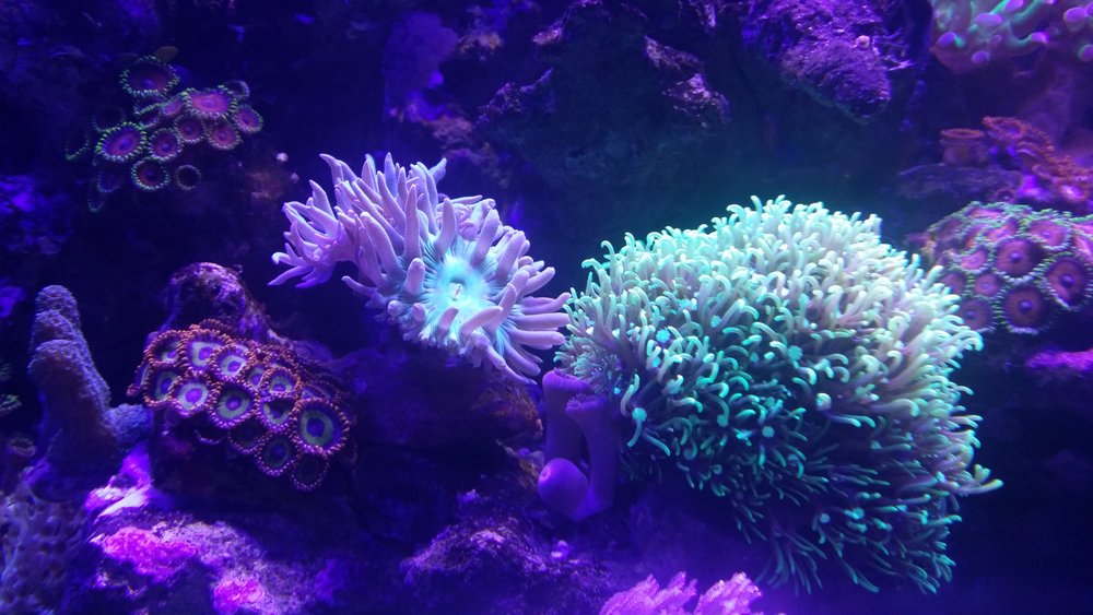20160717_160409.jpg
