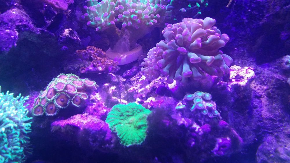 20160717_160439.jpg