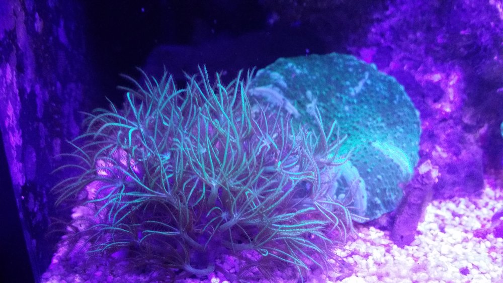 20160713_185409.jpg