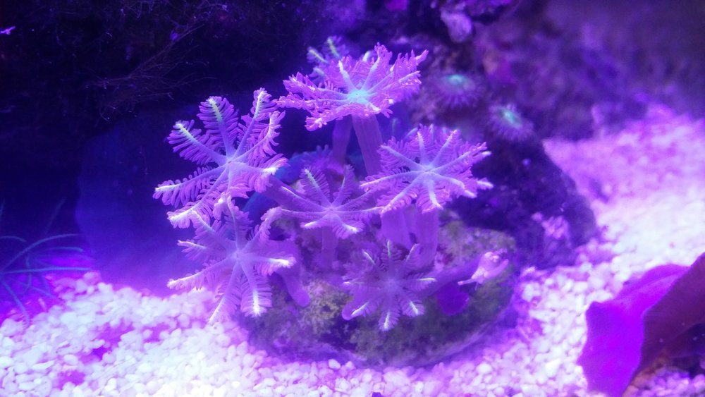 20160713_185053.jpg