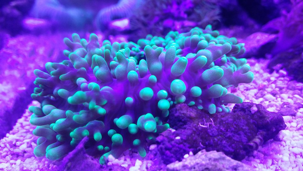 20160713_184957.jpg