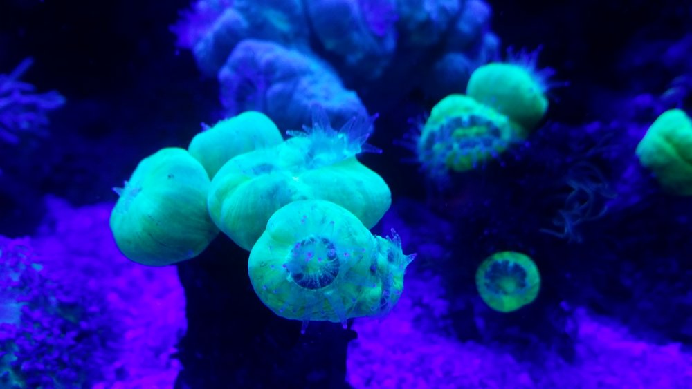 20160726_235911.jpg