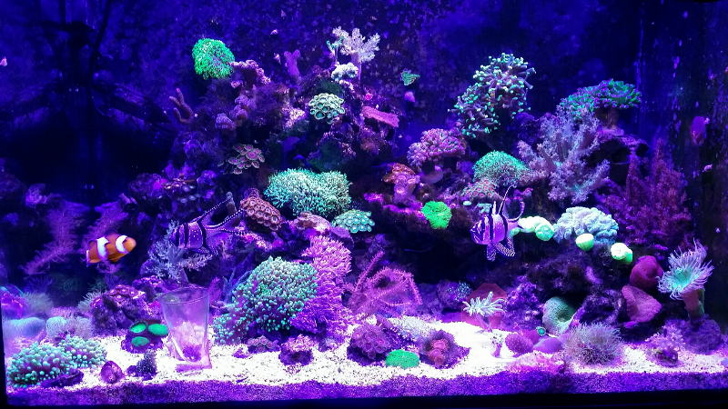 20160729_215043-800x450.png