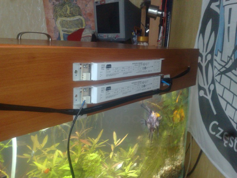 20130126539.jpg