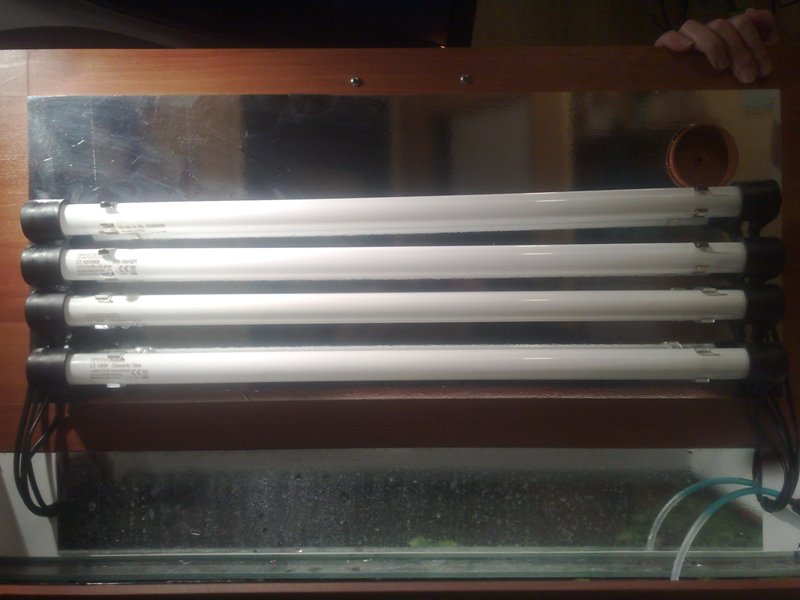 20130126541.jpg