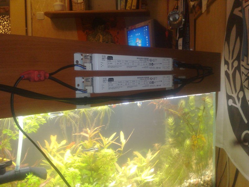 20130126542.jpg