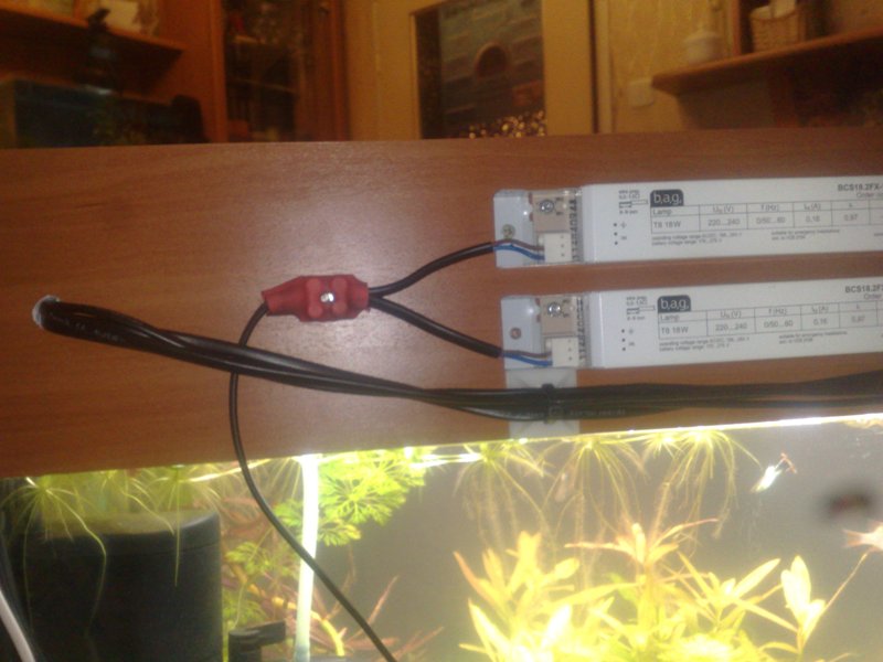 20130126543.jpg