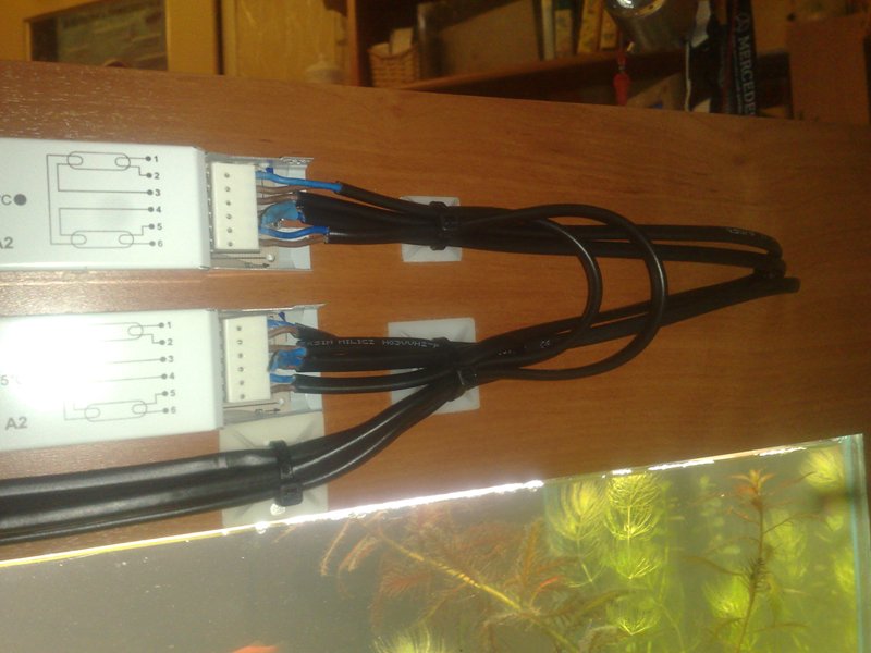 20130126544.jpg
