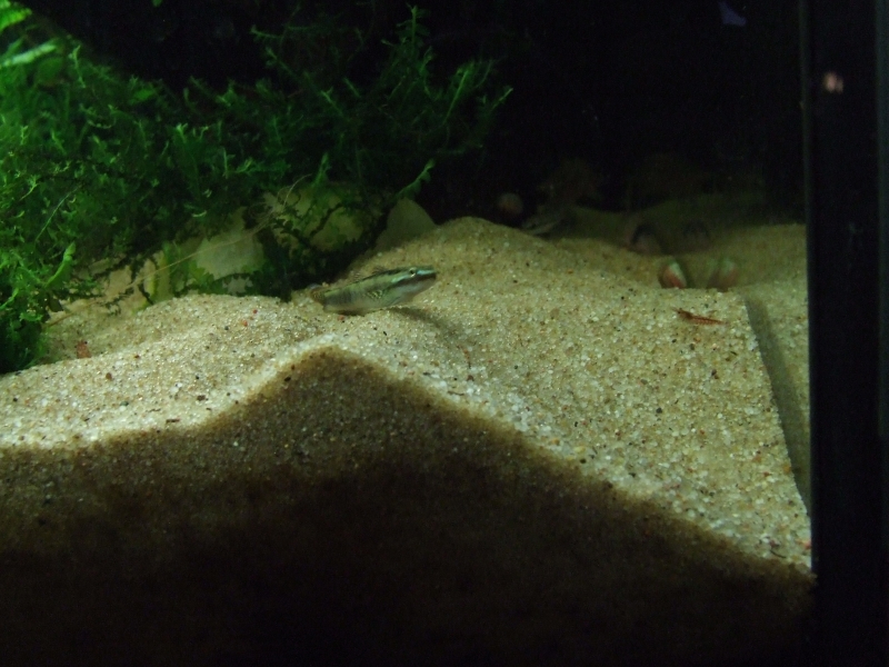DSCF7151.jpg