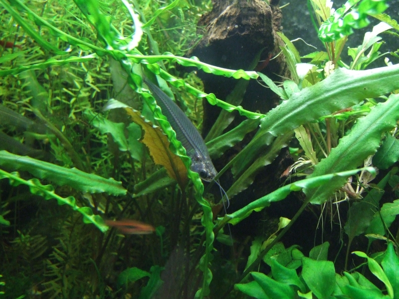 DSCF7131.jpg