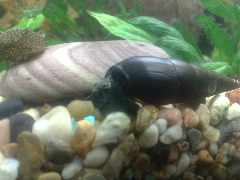 20130130546.jpg
