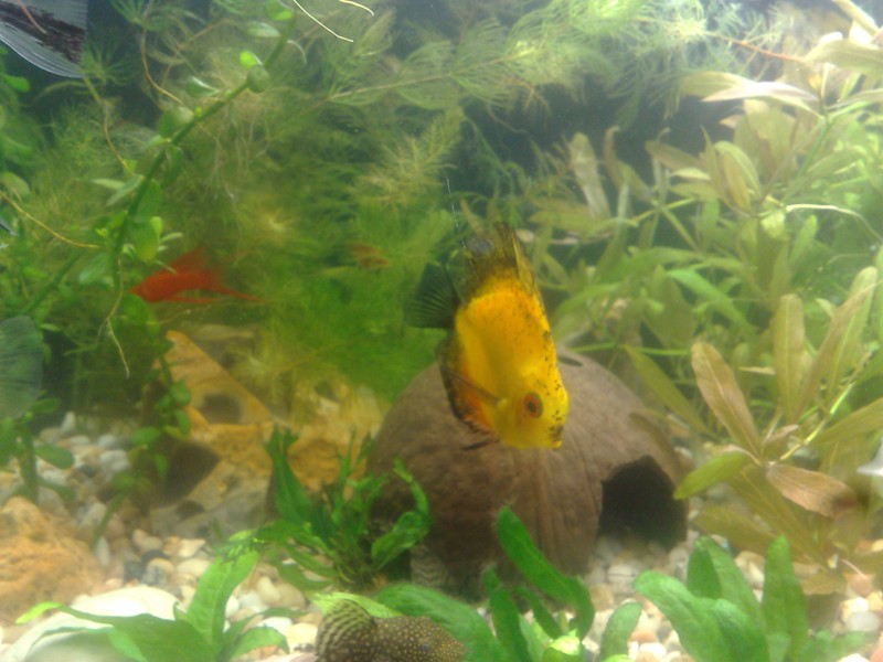 20130130547.jpg