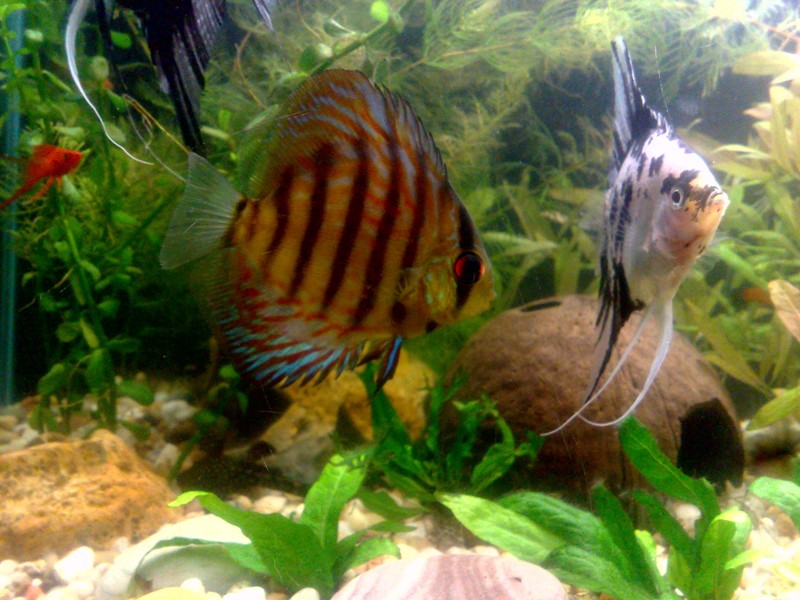 20130130549.jpg