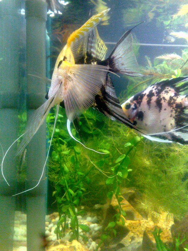 20130130550.jpg