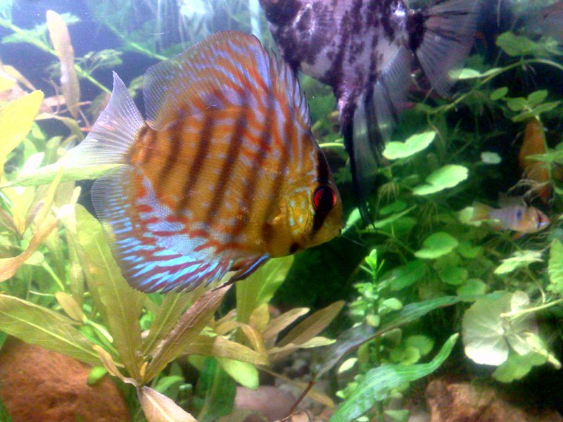 20130130551.jpg