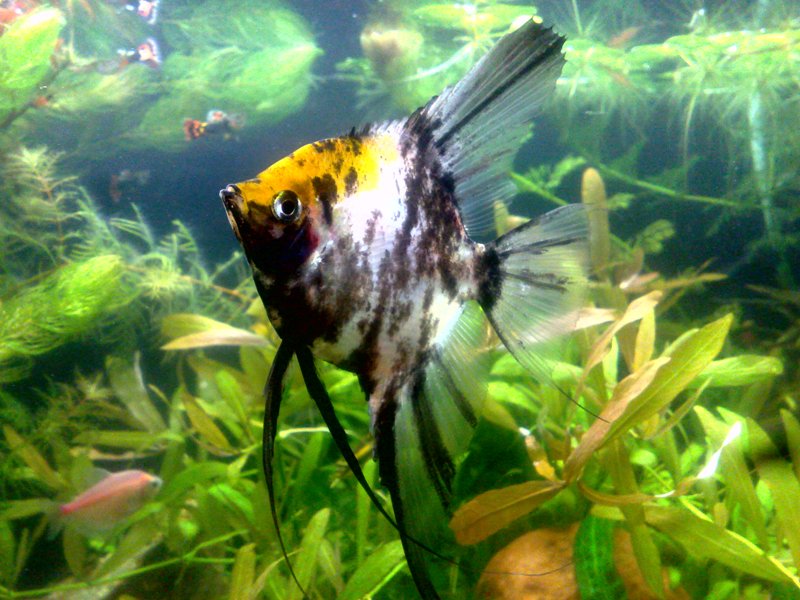 20130130552.jpg