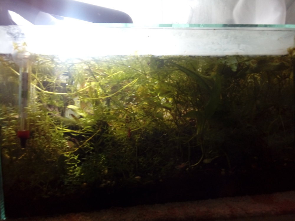 20170228_164911.jpg