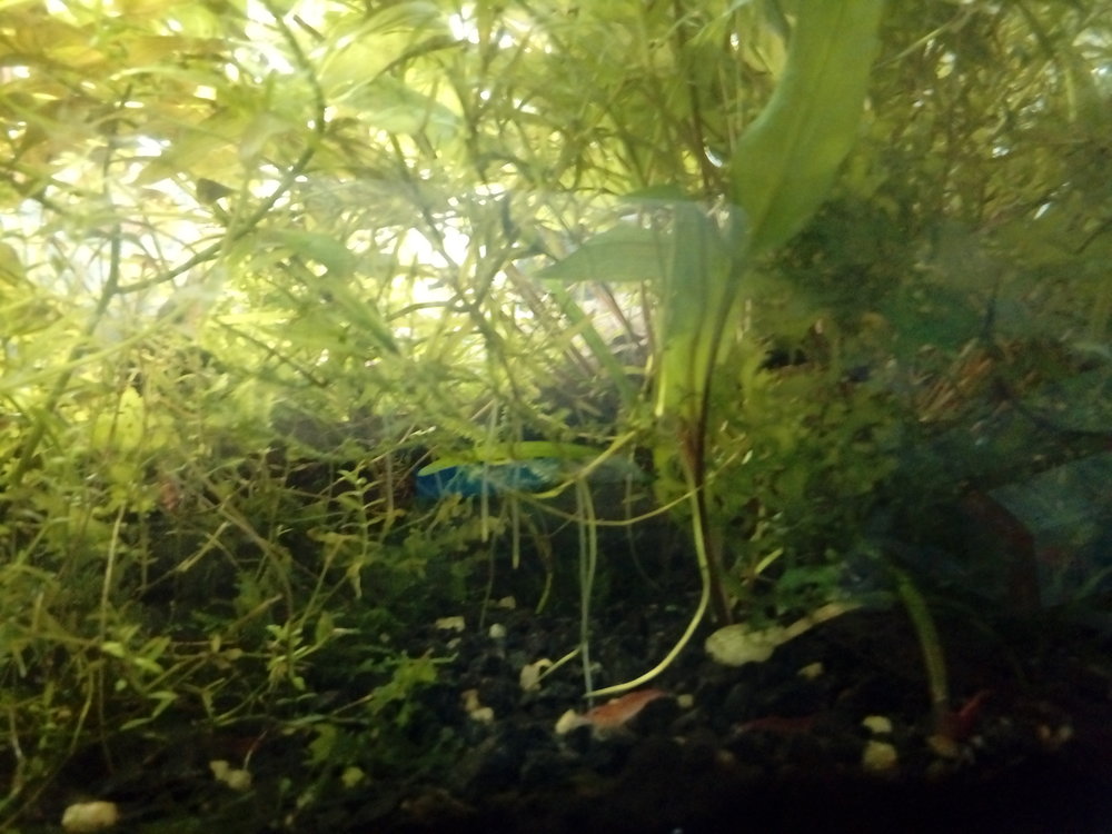 20170228_164926.jpg