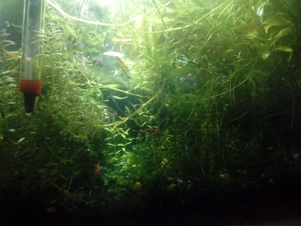 20170228_212055.jpg